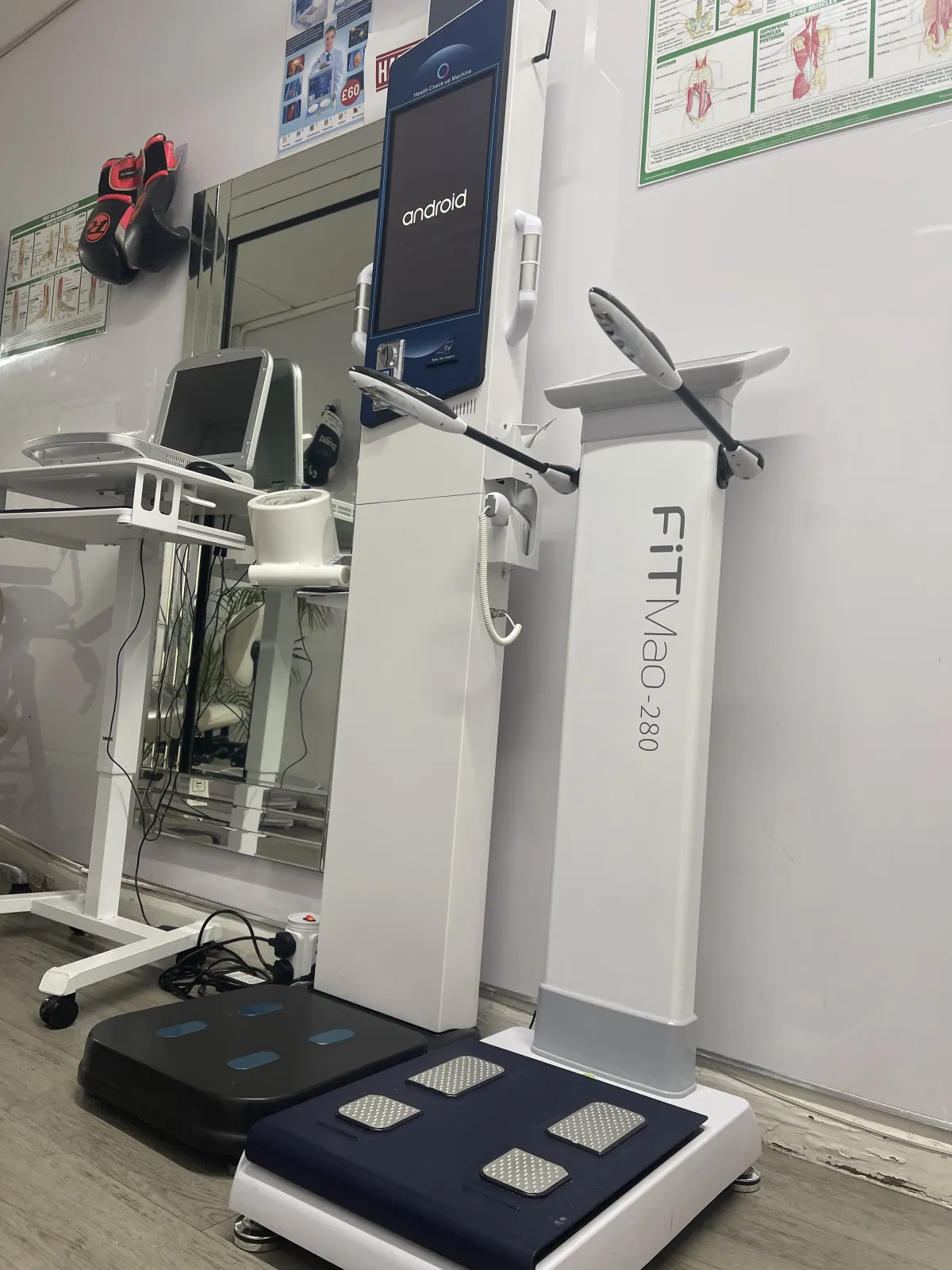 FiTMao Diagnostic System